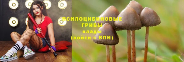 мяу мяу кристалл Алексин