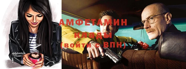 стафф Алзамай