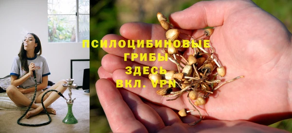 стафф Алзамай
