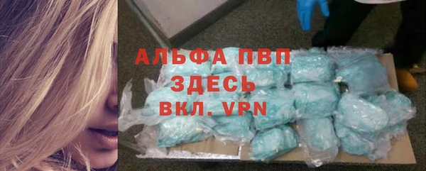 стафф Алзамай