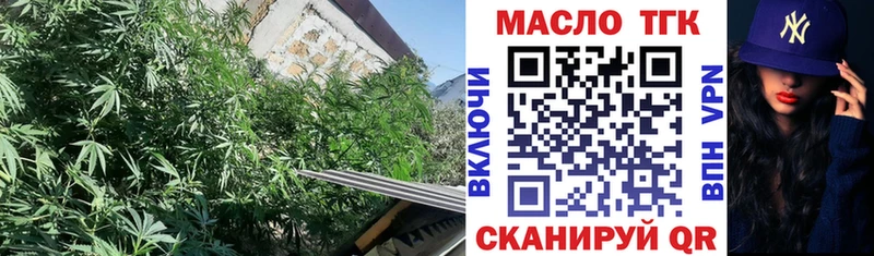 где можно купить   Лесной  ТГК жижа 