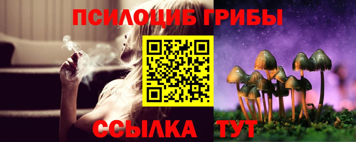 Псилоцибиновые грибы MAGIC MUSHROOMS Лесной