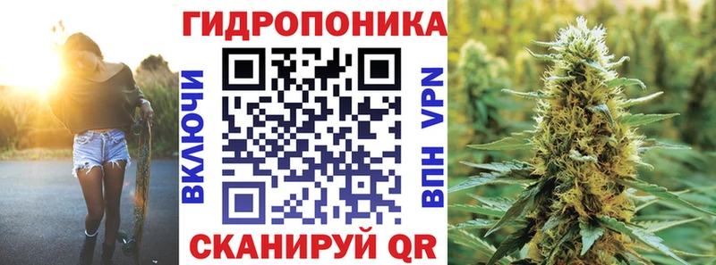 KRAKEN   Лесной  Марихуана сатива 